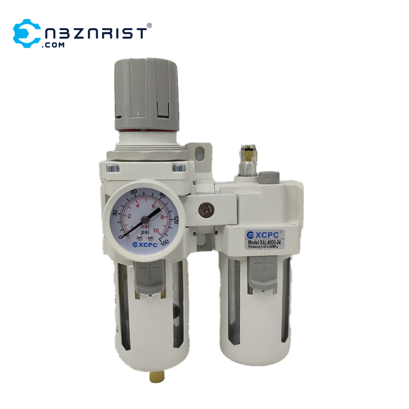 واحد مراقبت دوقلو XPCP مدل XAC4010-04