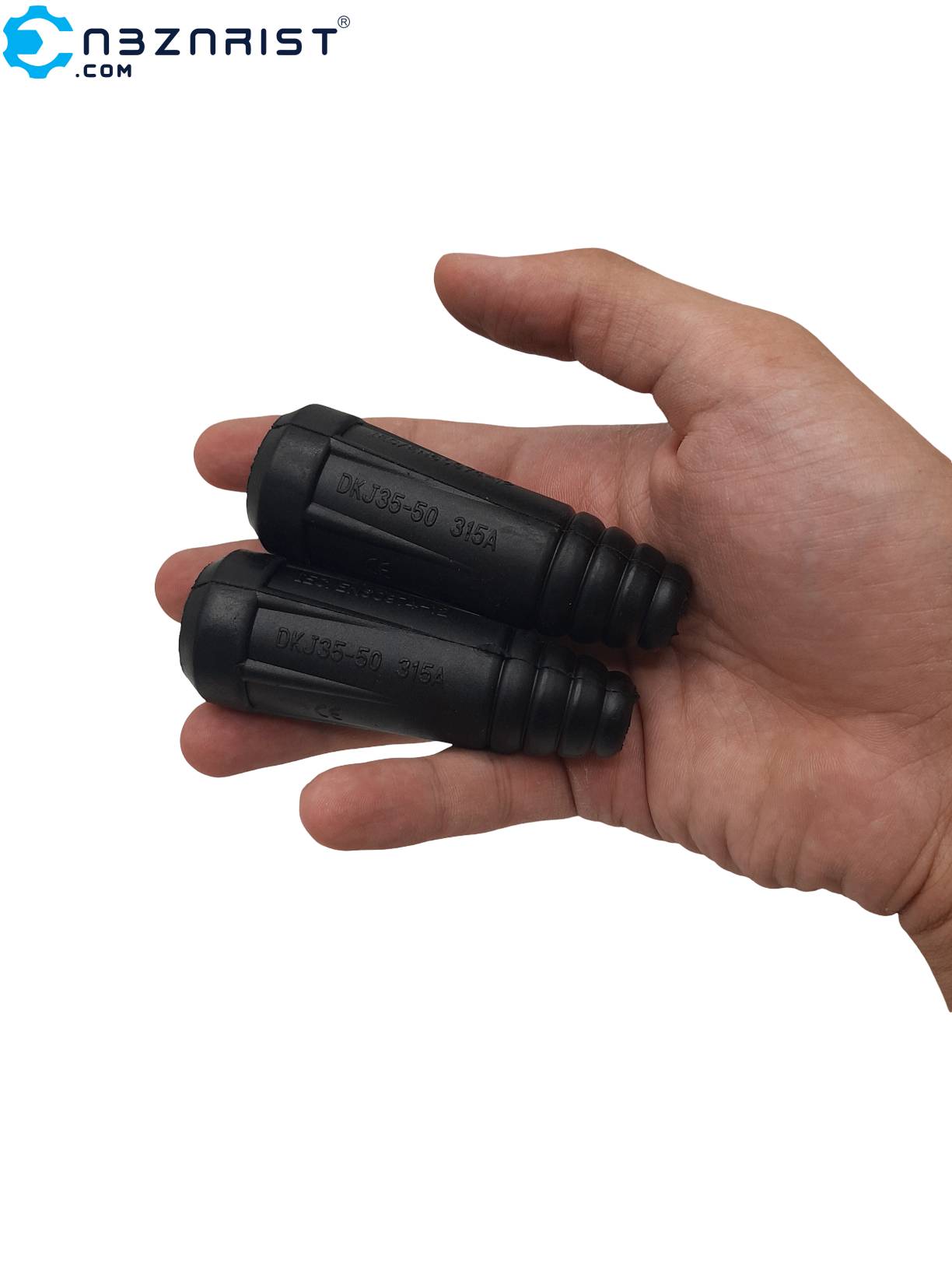 رکتیفایر اینورتری تکفاز R-INV-250V